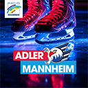 Radio Regenbogen Adler Mannheim Sender-Logo