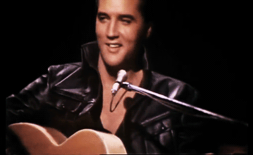 Helges Elvis Presley Stream Sender-Logo
