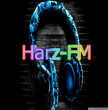 Mein-Südharz-Radio Sender-Logo