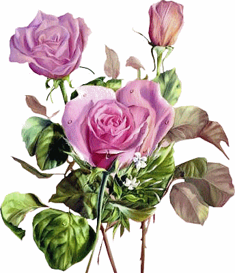 Musikgartenradio der Sender aus Österreich Sender-Logo