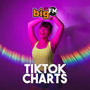bigFM TikTok Charts Sender-Logo
