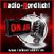 Radio-Nordlicht